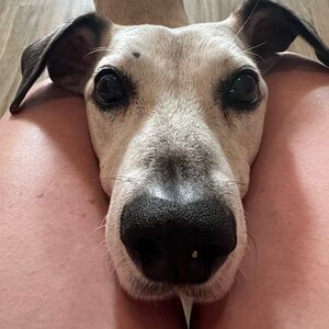 Meet your Posher, Ute